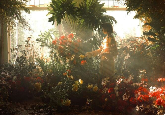 fleuriste Sévrier